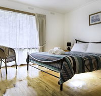 Bindi - Pet Friendly - Adwords Guide