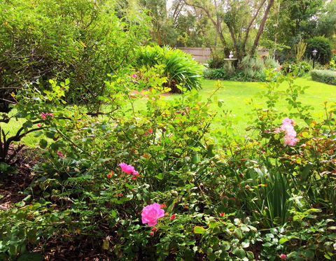 Bindley House B&B Cottage - Adwords Guide 2