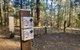 Binna Burra Rainforest Campsite - thumb 1