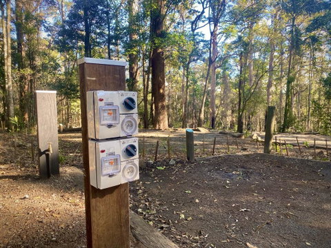 Binna Burra Rainforest Campsite - Adwords Guide 1