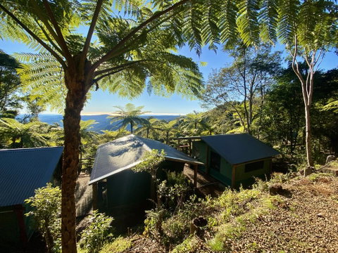 Binna Burra Rainforest Campsite - Adwords Guide 2