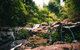 Binna Burra Rainforest Campsite - thumb 3