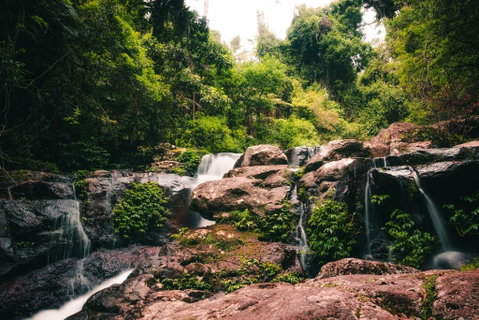 Binna Burra Rainforest Campsite - Adwords Guide 3