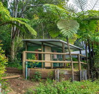 Binna Burra Rainforest Campsite - Adwords Guide