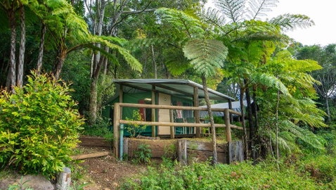 Binna Burra Rainforest Campsite - Adwords Guide 0