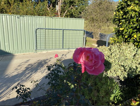 Blue Manor On Fairway - Adwords Guide 2