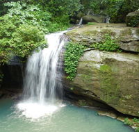 Buderim Forest Hideaway - Adwords Guide