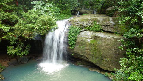 Buderim Forest Hideaway - Adwords Guide 0