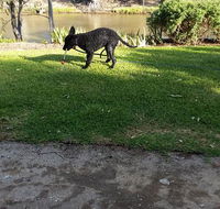 Captain's Cottage Bed Breakfast - Adwords Guide