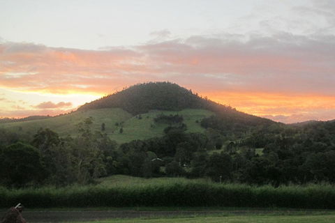 CBR Equine Cottage - Adwords Guide 1