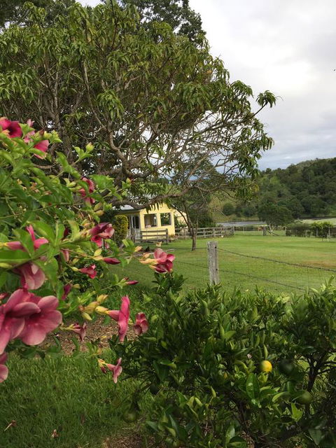 CedarBrae Country Stay - Adwords Guide 2