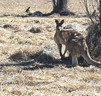 Clansman Motel - Adwords Guide