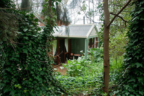 Clarendon Chalets - Adwords Guide 0