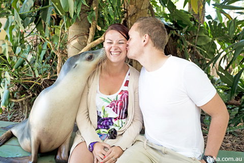 Coffs Harbour YHA - Adwords Guide 2