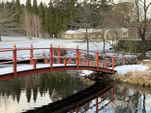 COOKS HOUSE - Adwords Guide 0