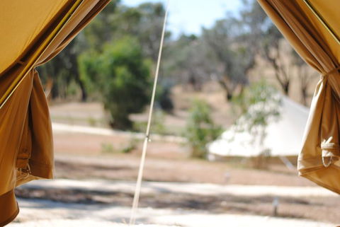 Cosy Tents - Daylesford - Adwords Guide 1