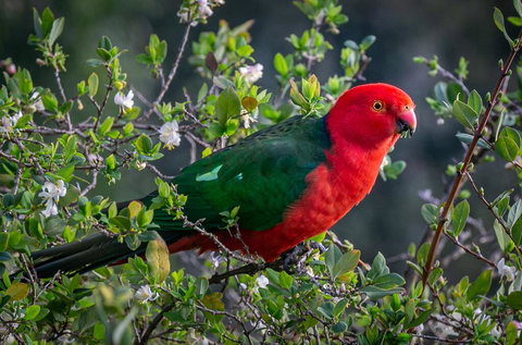 Country Paradise In The Gully - Adwords Guide 2