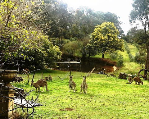 Countryside Retreat Spa Cottage Hepburn - Daylesford - Adwords Guide 1