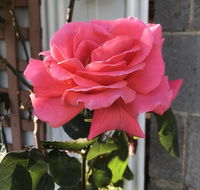 Cozy Luxury Suit With Separate Entrance - Adwords Guide