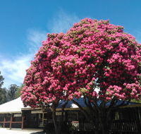 Crossways Country Inn - Adwords Guide