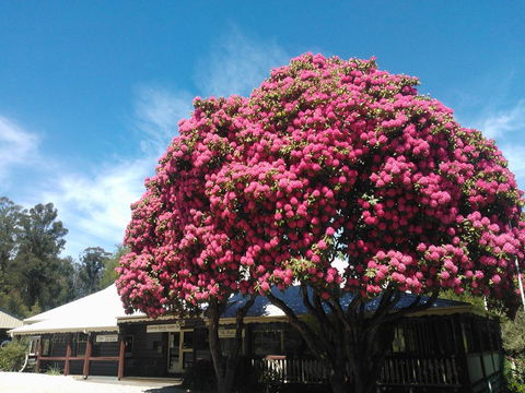 Crossways Country Inn - Adwords Guide 0