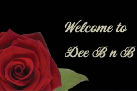 Dee B N B - Adwords Guide 0