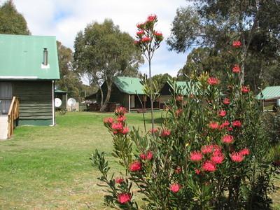 Derwent Bridge Chalets & Studios - Adwords Guide 1