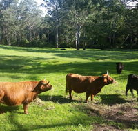 Dingley Dell - Adwords Guide