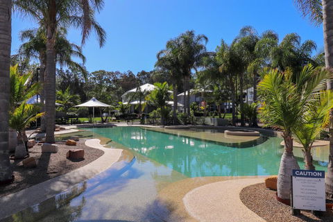 Dollarbird Treetops Townhouse - Adwords Guide 1