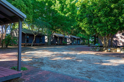 Dorrigo Mountain Holiday Park - Adwords Guide 1