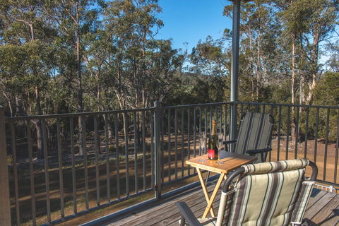 Echidna On Bruny - Adwords Guide 1
