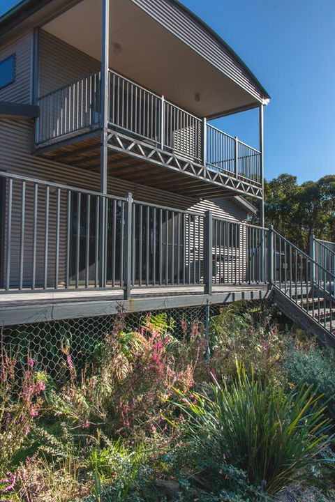 Echidna On Bruny - Adwords Guide 3