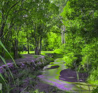 Esk Caravan Park Rail Trail Motel - Adwords Guide