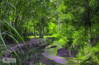 Esk Caravan Park  Rail Trail Motel