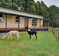 Farm Stay Lowana Strahan - Adwords Guide
