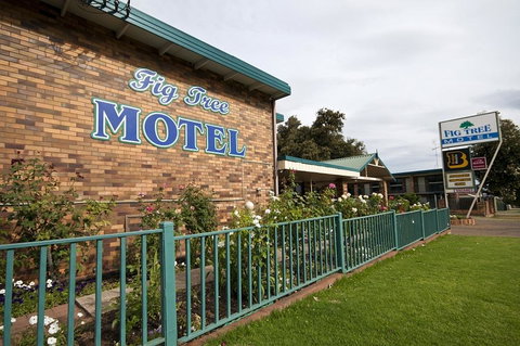 Fig Tree Motel - Adwords Guide 2