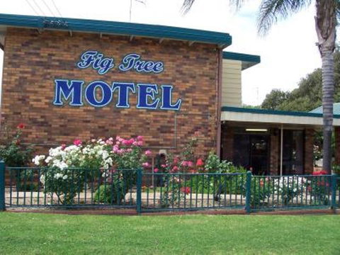 Fig Tree Motel - Adwords Guide 1