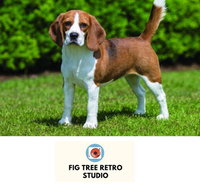 Fig Tree Retro Studio - Adwords Guide