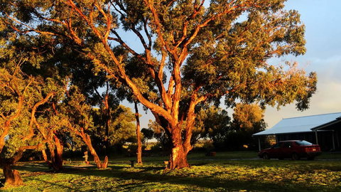 French Island Cottage - Adwords Guide 1