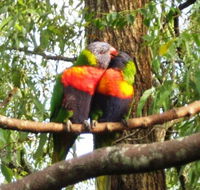 Gecko Cottage - Adwords Guide