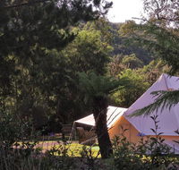 Glamping at Zeehan Bush Camp - Adwords Guide