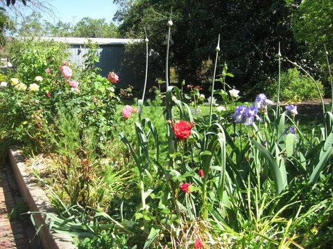 Goat Square Cottages - Adwords Guide 2