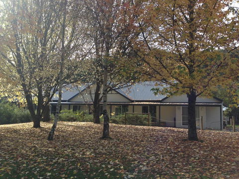 Goldberryaccommodation - Adwords Guide 0