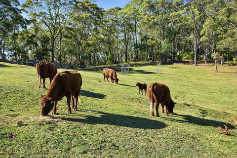 GOWAN ROSS COTTAGE - Adwords Guide 1