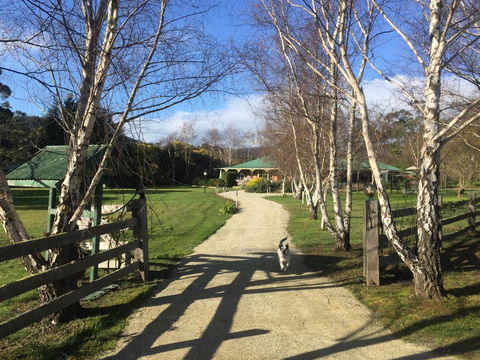 Green Gables B&B - Adwords Guide 0