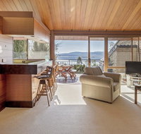 Grey Kangaroo- On Lake Jindabyne foreshore - Adwords Guide