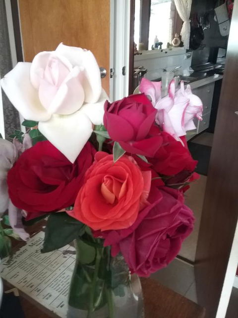 Heywood Motor Inn - Adwords Guide 2