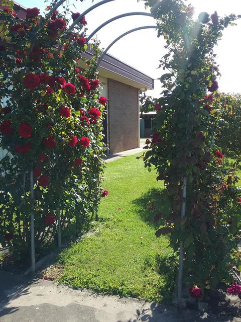 Heywood Motor Inn - Adwords Guide 1