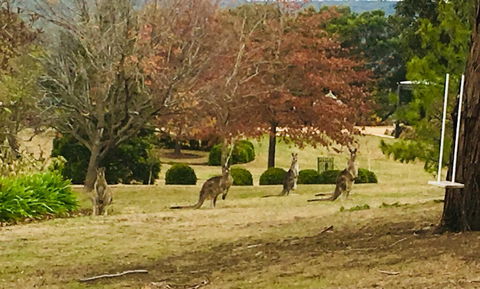 Highfield Cottage - Adwords Guide 2