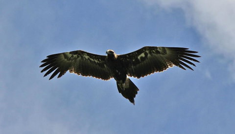 Highwood Park B&B Guest Lodge - Adwords Guide 3